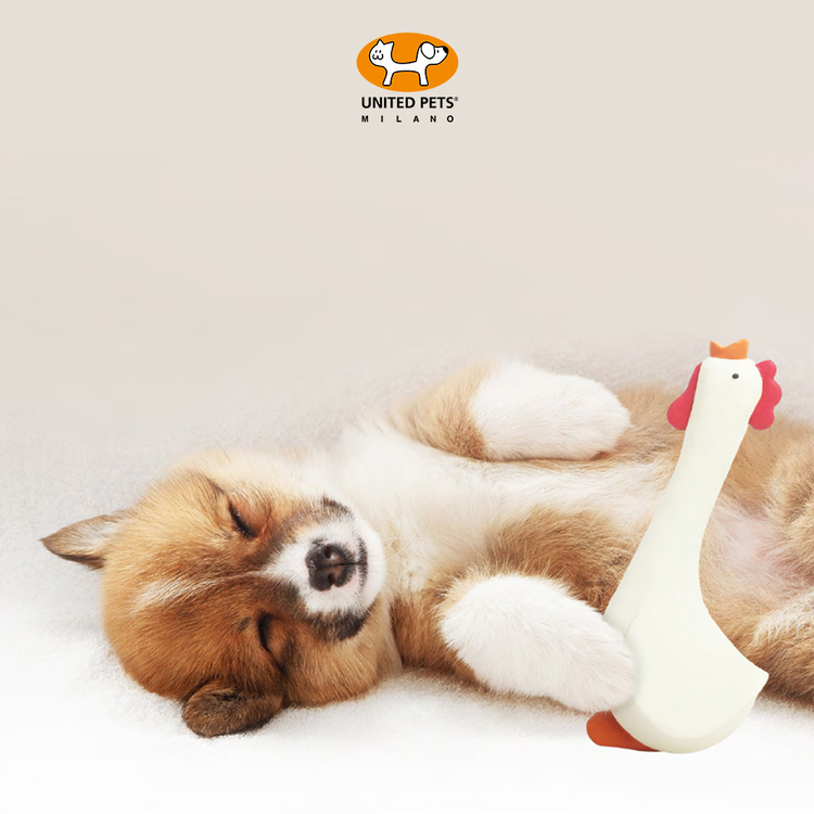 United Pets Chick'n Fun Pino Dog Toy (White)  (10*25*9.5cm)