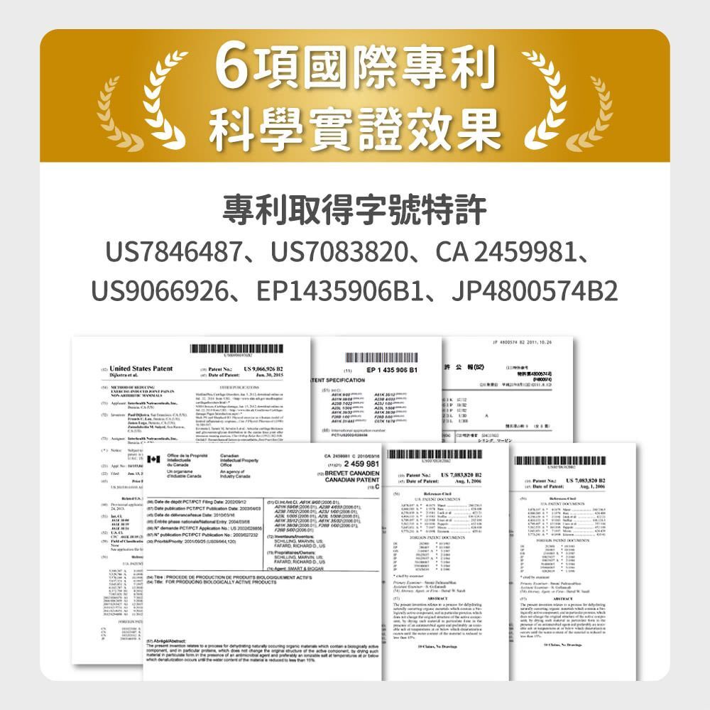 毛孩時代｜關節強效保健粉