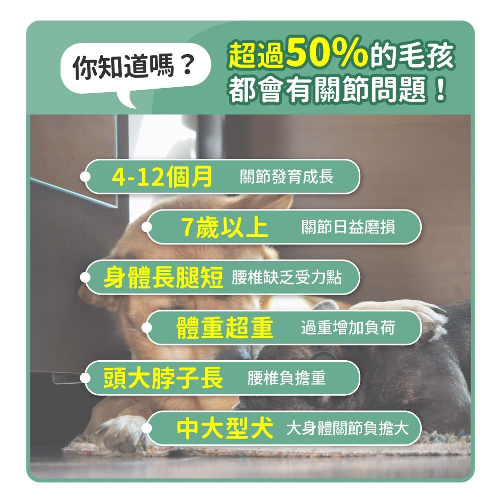 毛孩時代｜關節強效保健粉