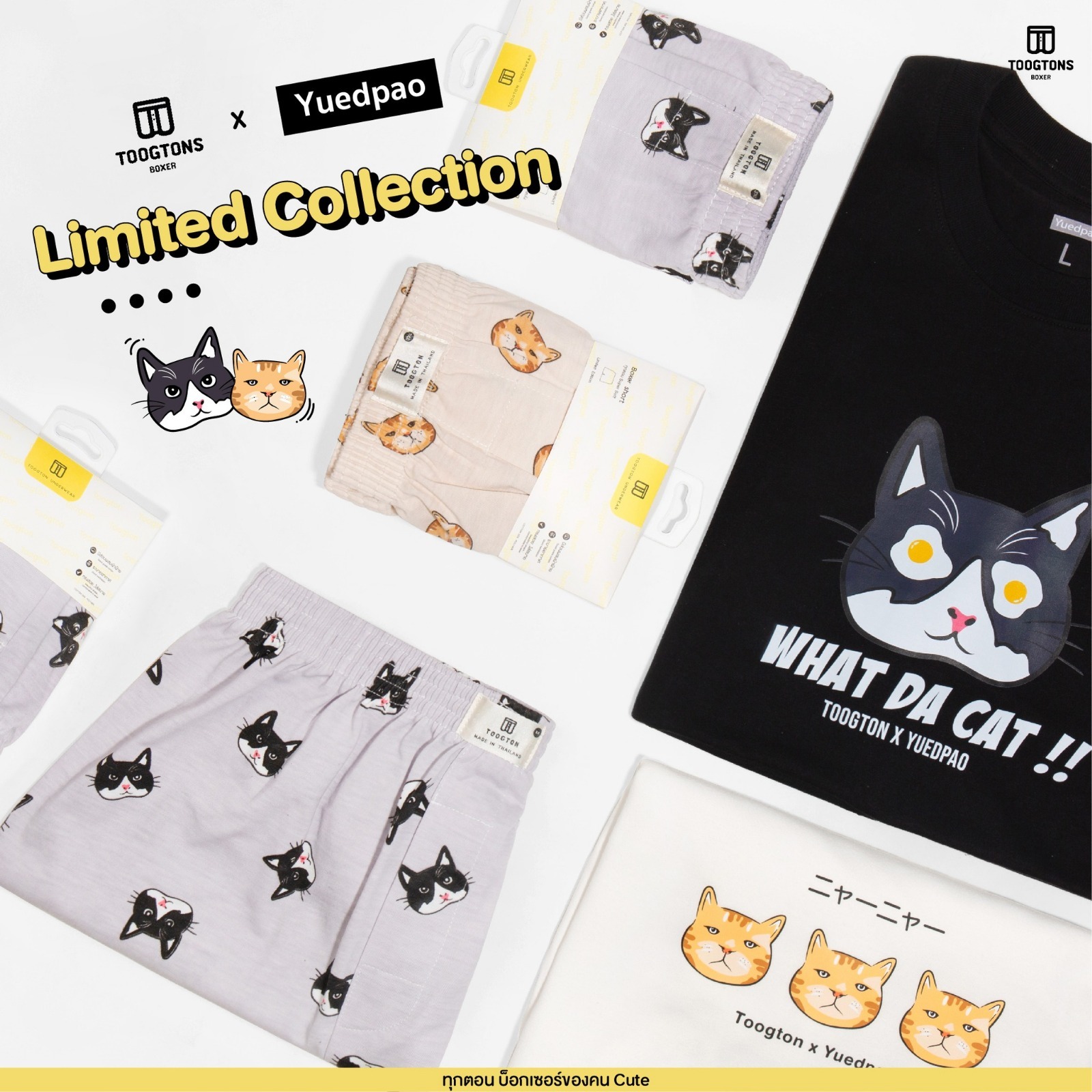 【直播】Toogtons LL082403 貓咪圖案平角短褲