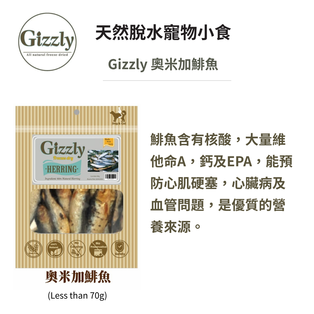 Gizzly 奧⽶加鯡魚