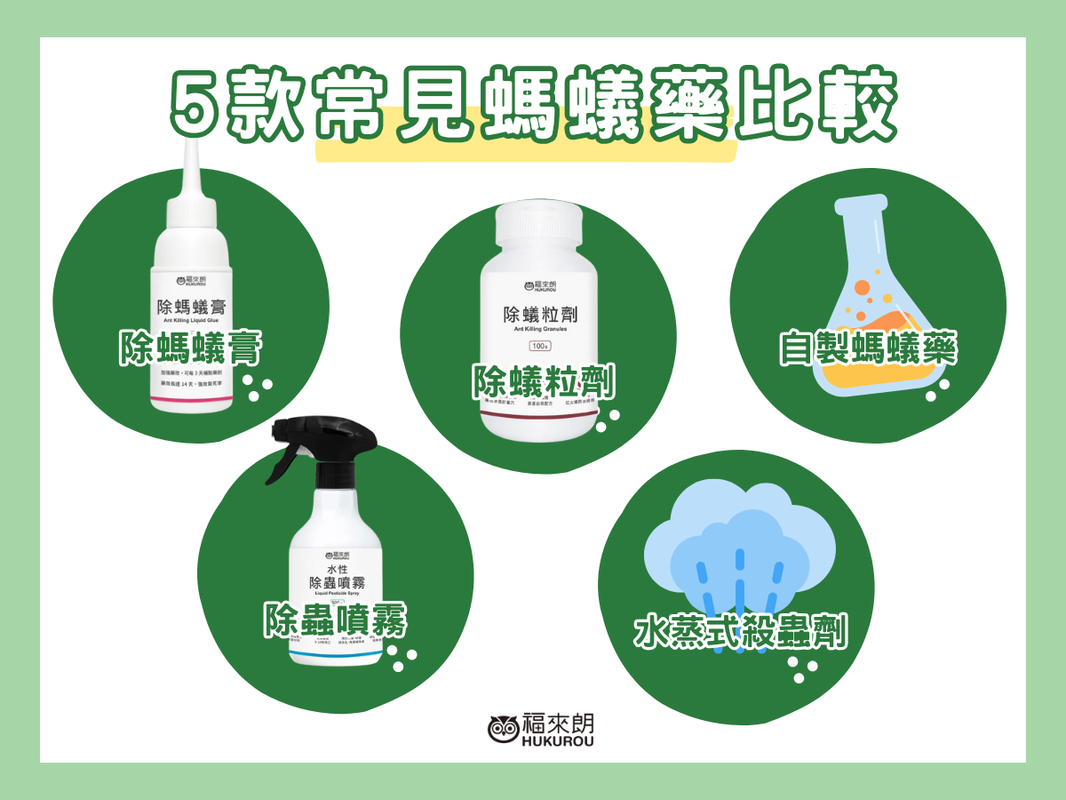 螞蟻藥比較：除螞蟻膏／除蟻粒劑／自製螞蟻藥／除蟲噴霧／水蒸式殺蟲劑