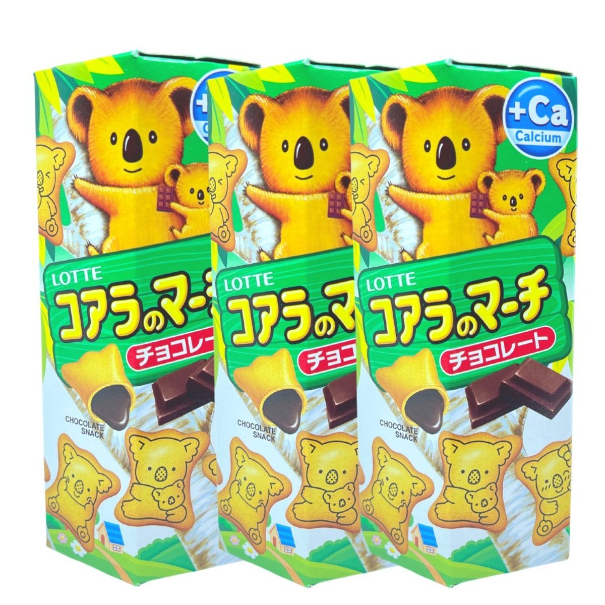 樂天小熊仔餅(朱古力味) 37G X 3 ( 新舊包裝隨機發貨)