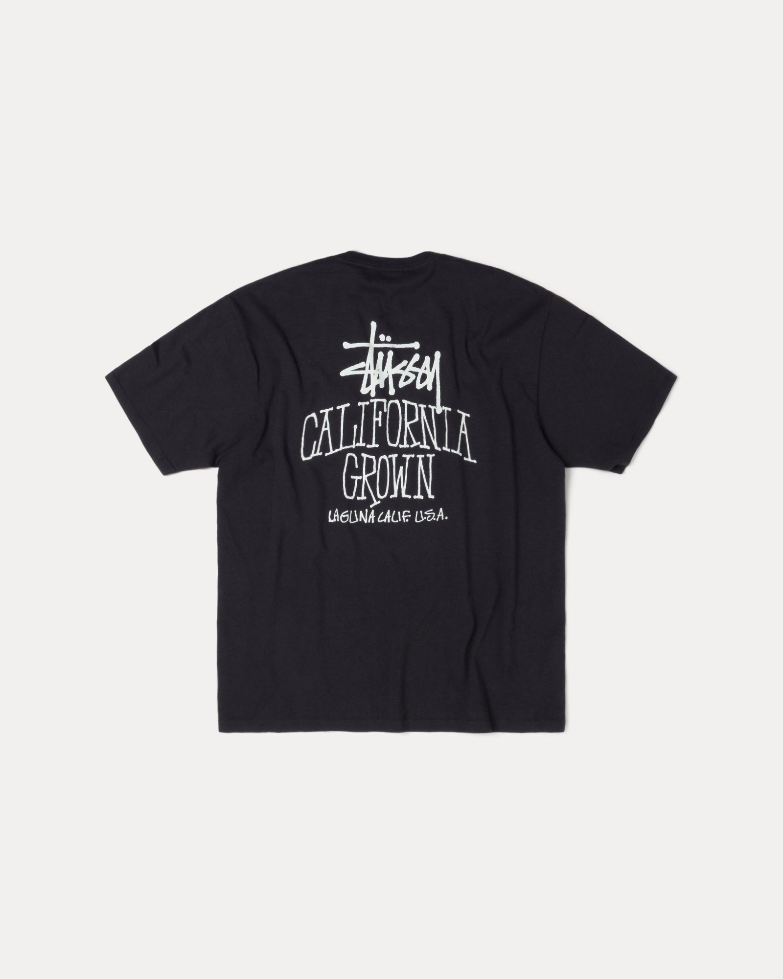 2025AW STUSSY CALI GROWN TEE PIGMENT DYED 加州 水洗 短T 現貨 1905162
