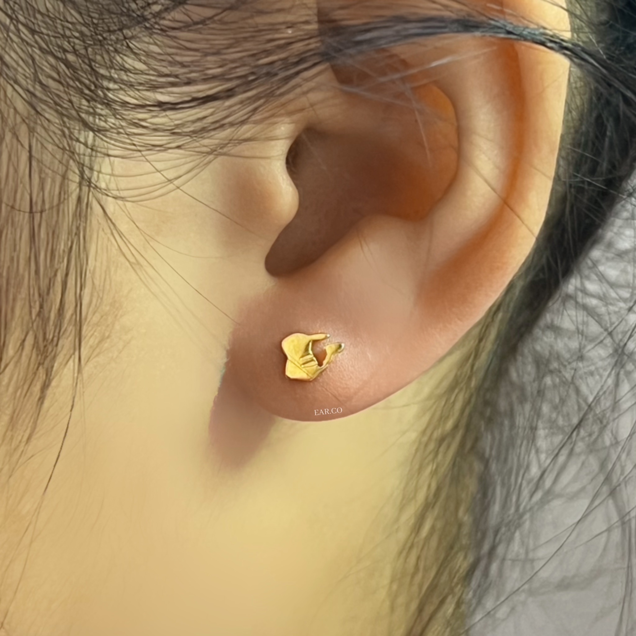 比卡超平頭耳門/耳珠/耳骨釘 [G23 Titanium]