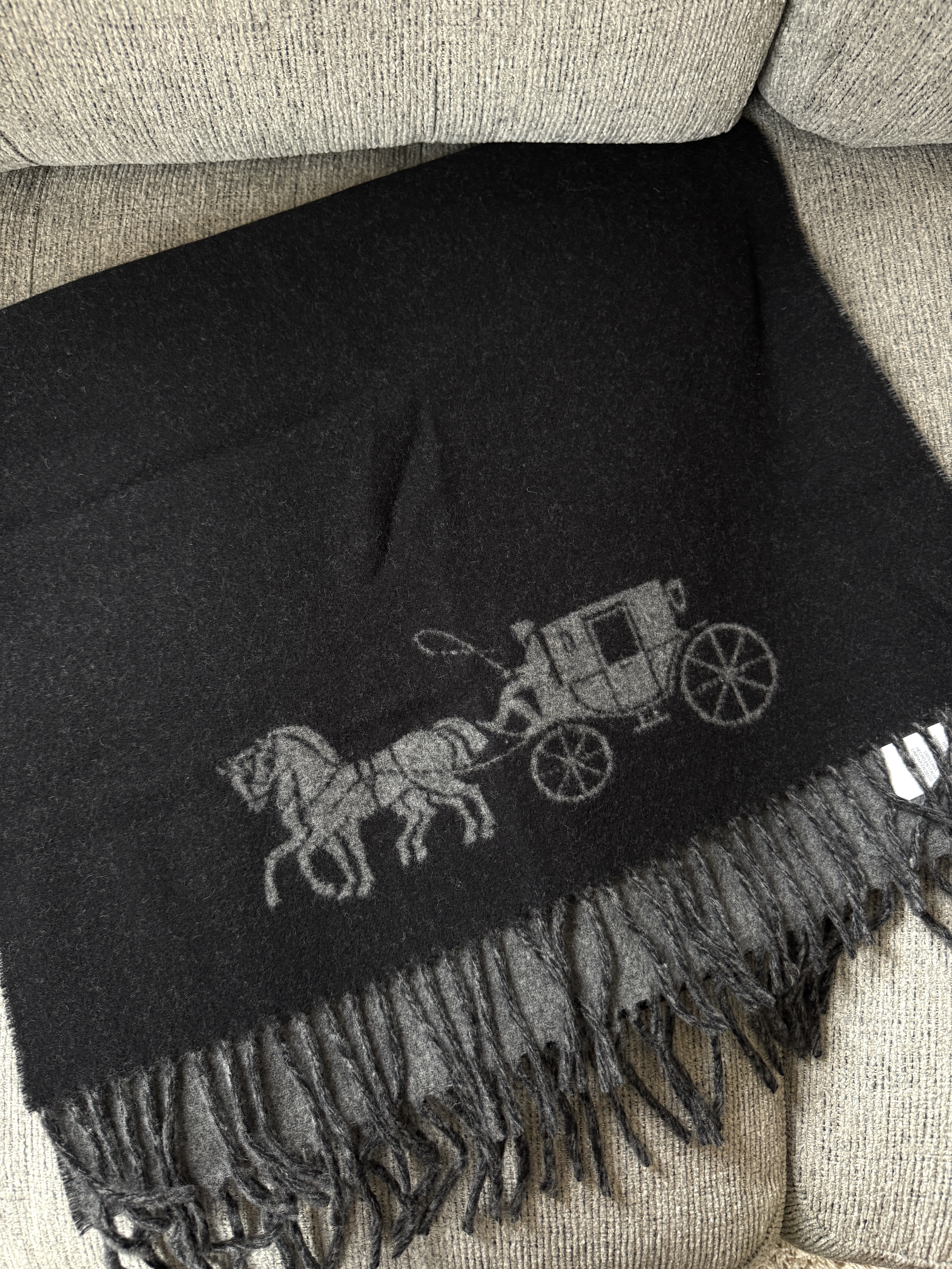 ［美國現貨］Coach Horse Carriage Scarf