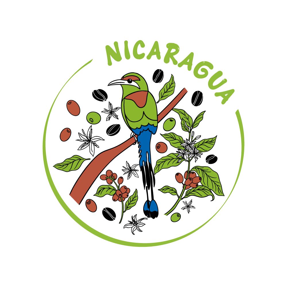 【完售】-  尼加拉瓜 新塞哥維亞 守望者 水洗 SHG