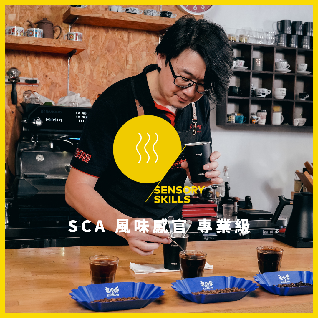 SCA 風味感官 專業級國際認證－CSP新制課程