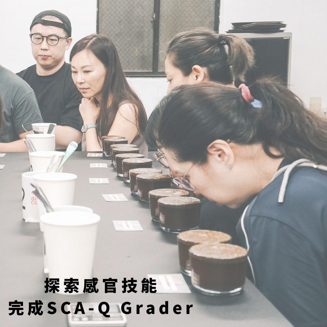 SCA 風味感官 專業級國際認證－CSP新制課程