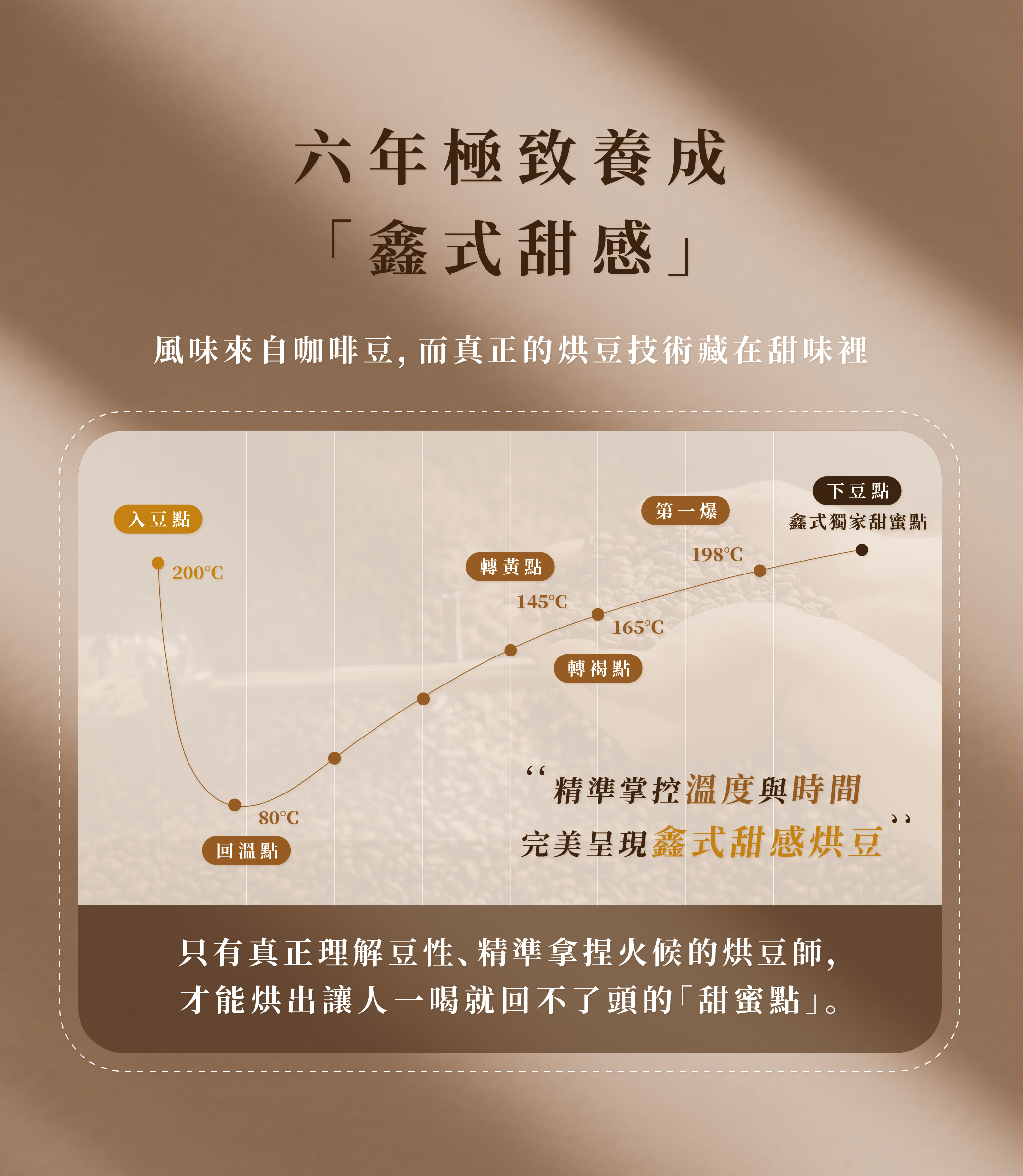 2023 TAKAO 咖啡烘豆世界第三 郭宗鑫 賽事配方 咖啡豆｜淺焙・世界咖啡雙金牌｜Xinto Coffee