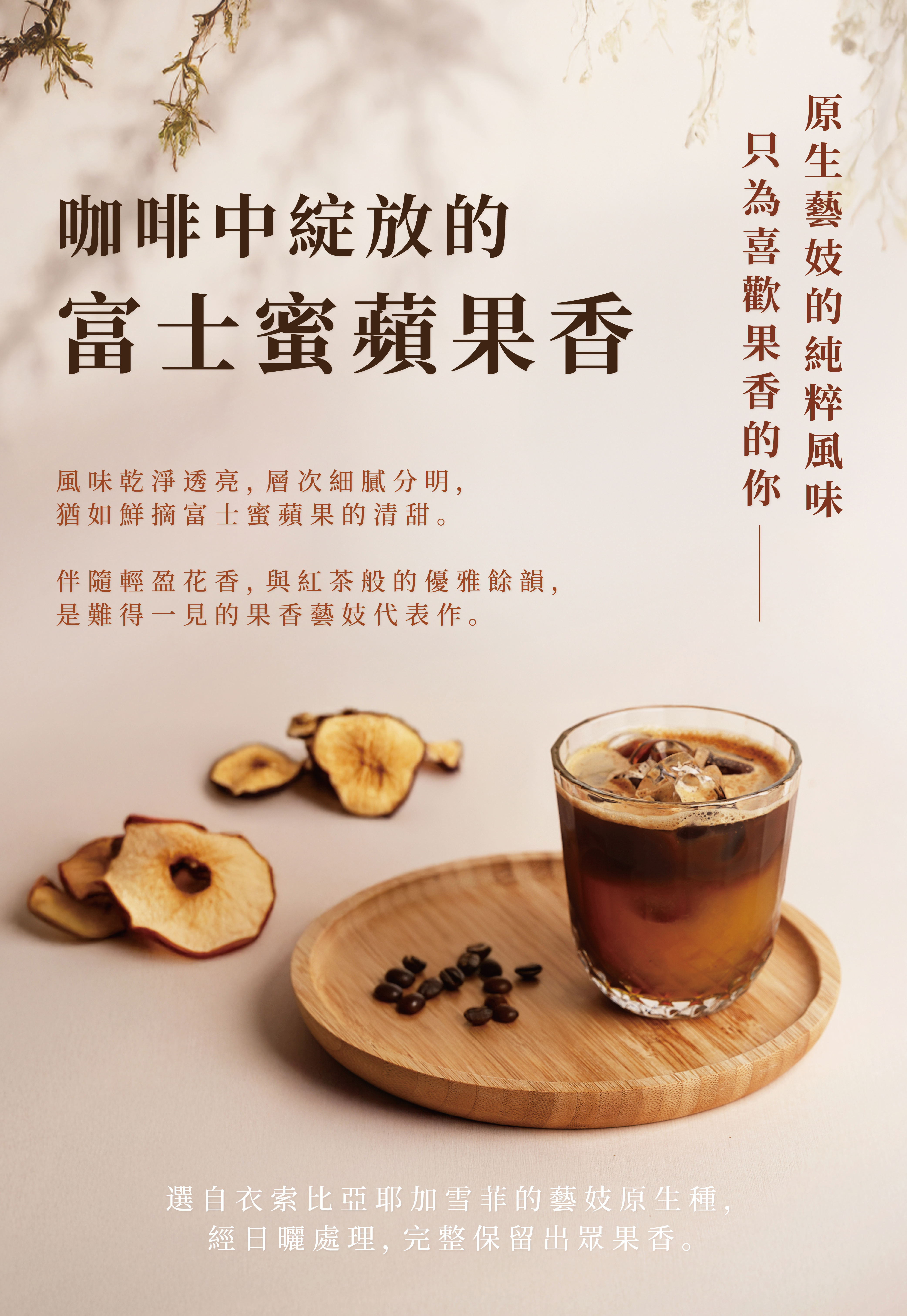 衣索比亞 耶加雪菲 富士藝妓 日曬 咖啡豆|淺焙・世界咖啡雙金牌|Xinto Coffee