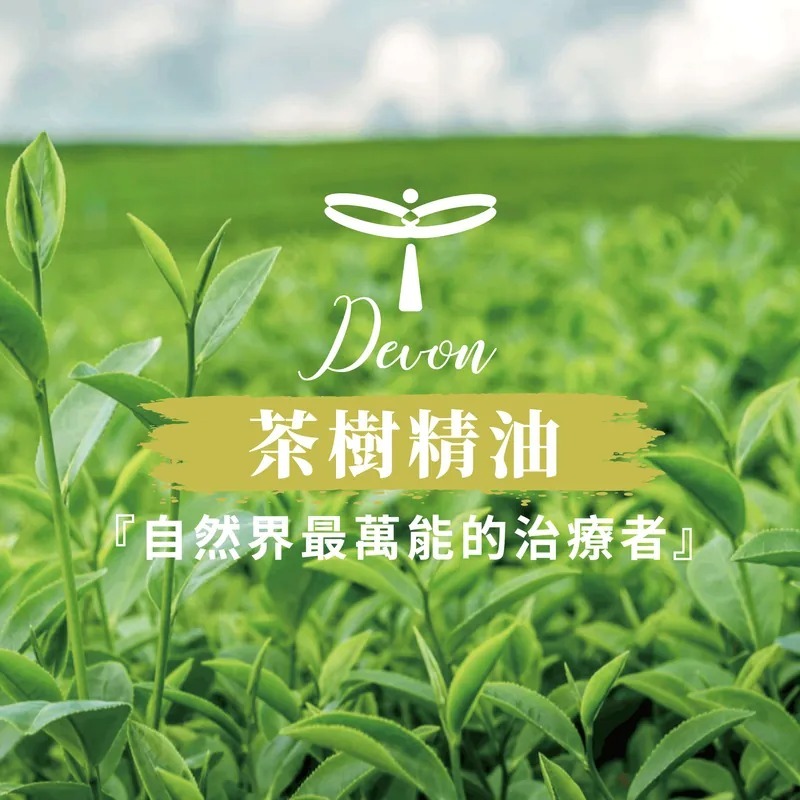 Devon德氛 茶樹精油 20ml