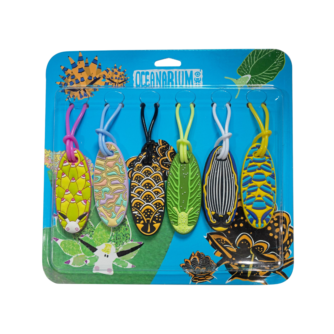 ▲Oceanarium 海蛞蝓II 裝備吊牌 行李吊牌 (藍盒)