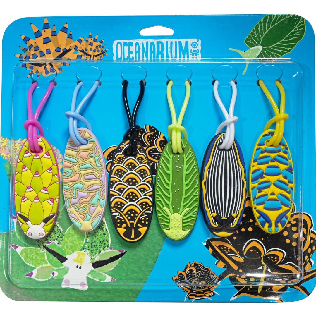 ▲Oceanarium 海蛞蝓II 裝備吊牌 行李吊牌 (藍盒)