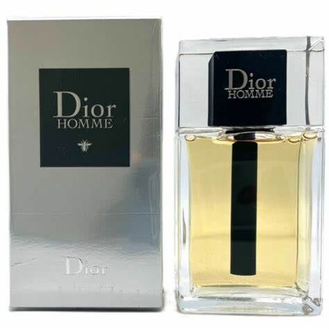 CHRISTIAN DIOR 迪奧 Homme 男性淡香水 100ml