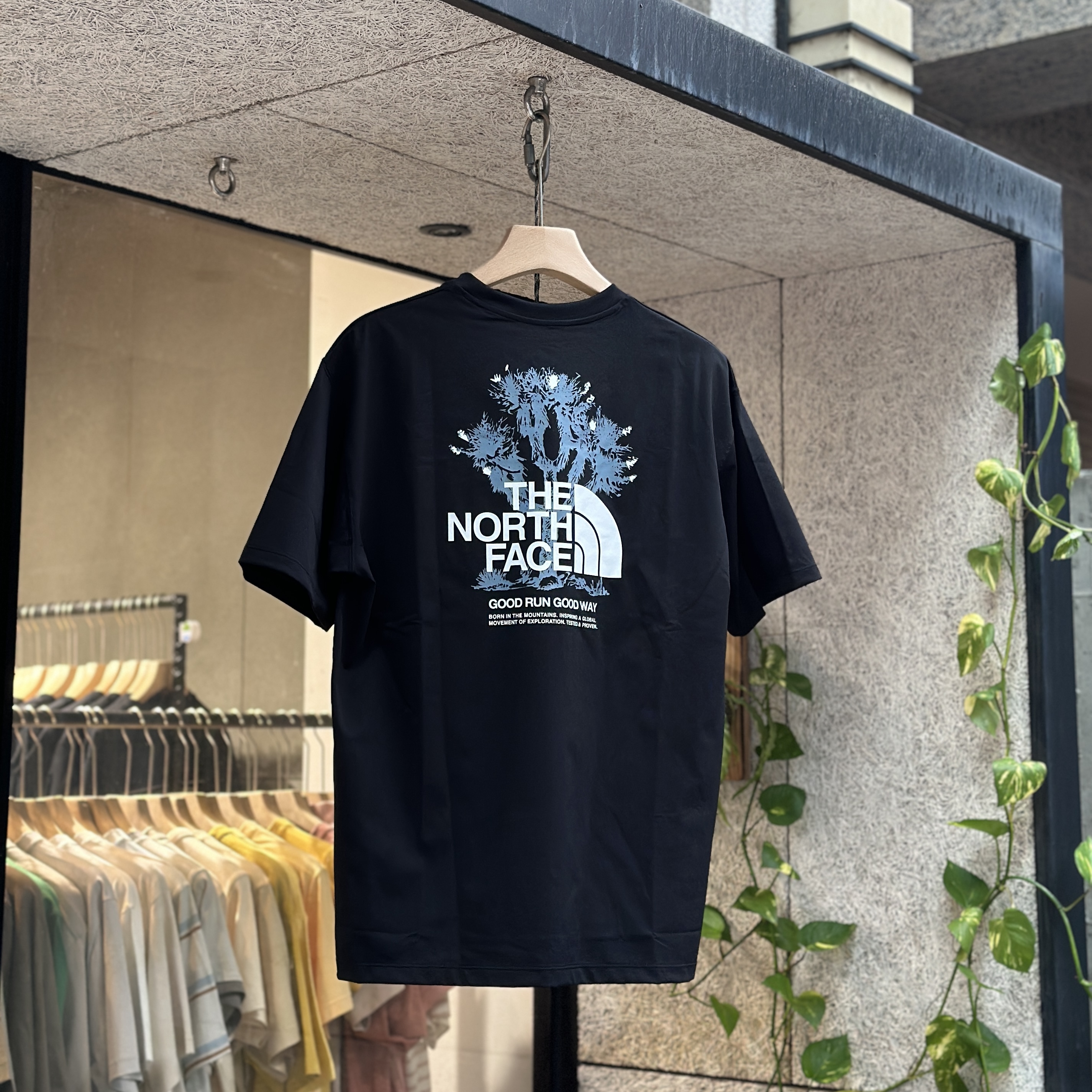 【現貨】The North Face Free Run ES Graphic Crew T-shirt 北臉 多肉植物 短tee NT12593