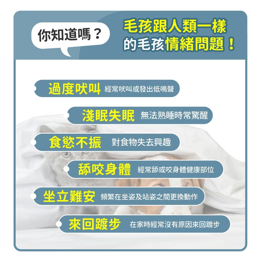 毛孩時代｜情緒穩定保養粉