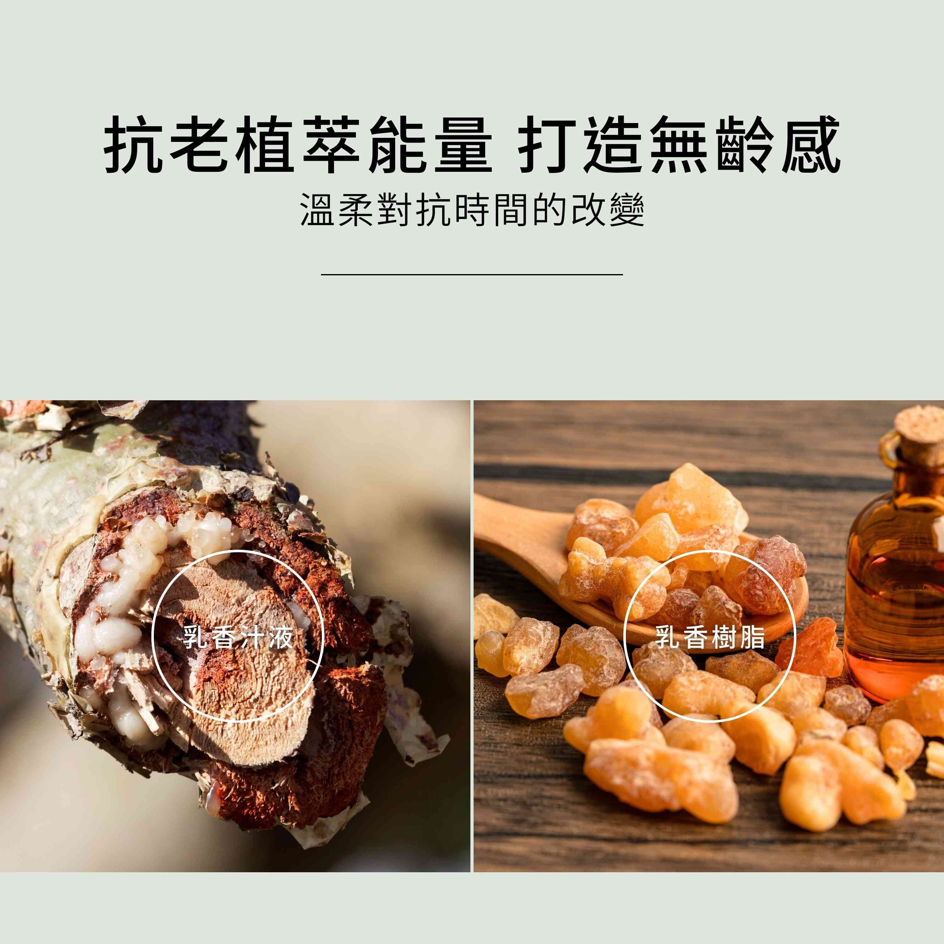 乳香活膚保濕水含3大抗老植萃能量,打造無齡感