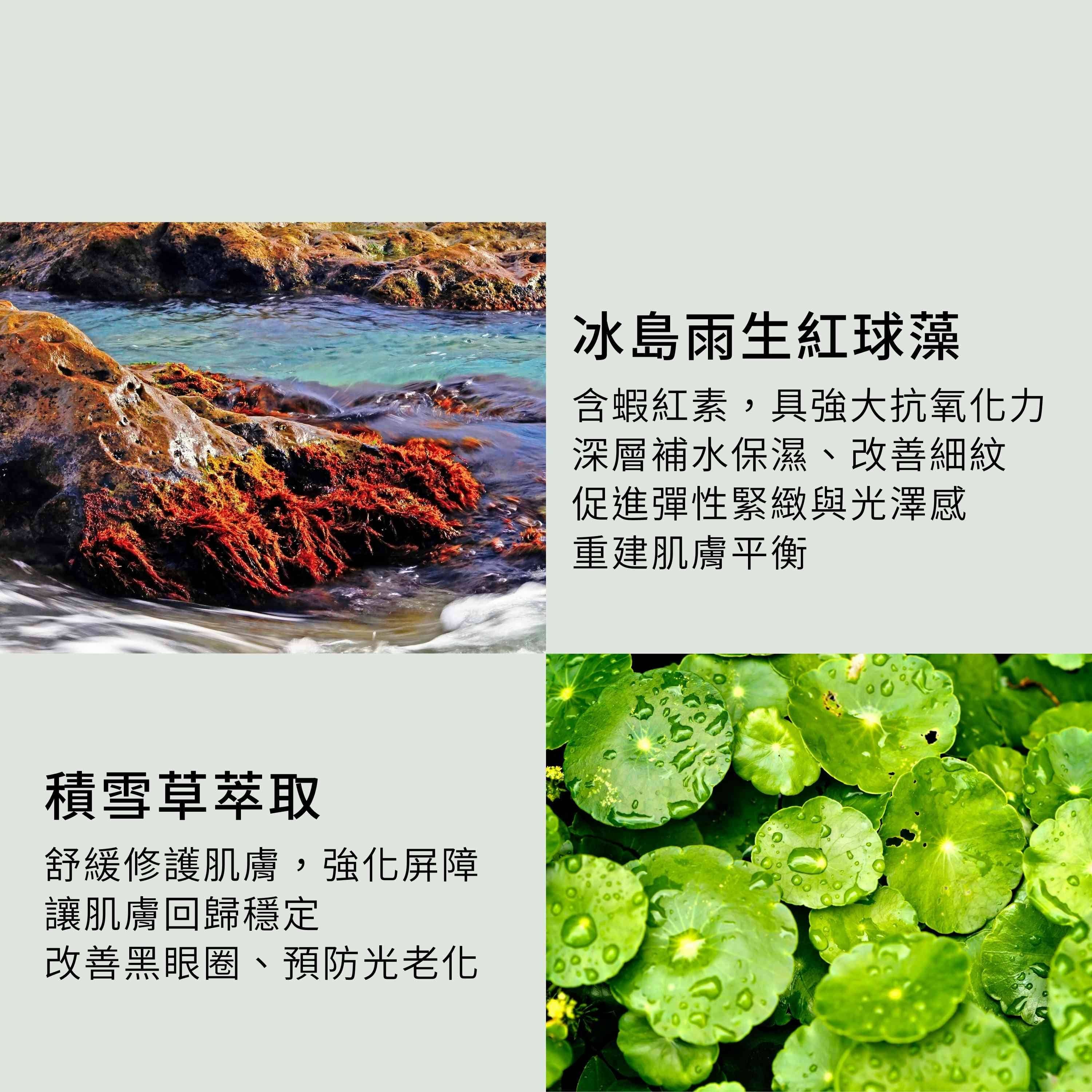 乳香活膚保濕水含3大抗老植萃能量,包含冰島雨生紅球藻和積雪草萃取