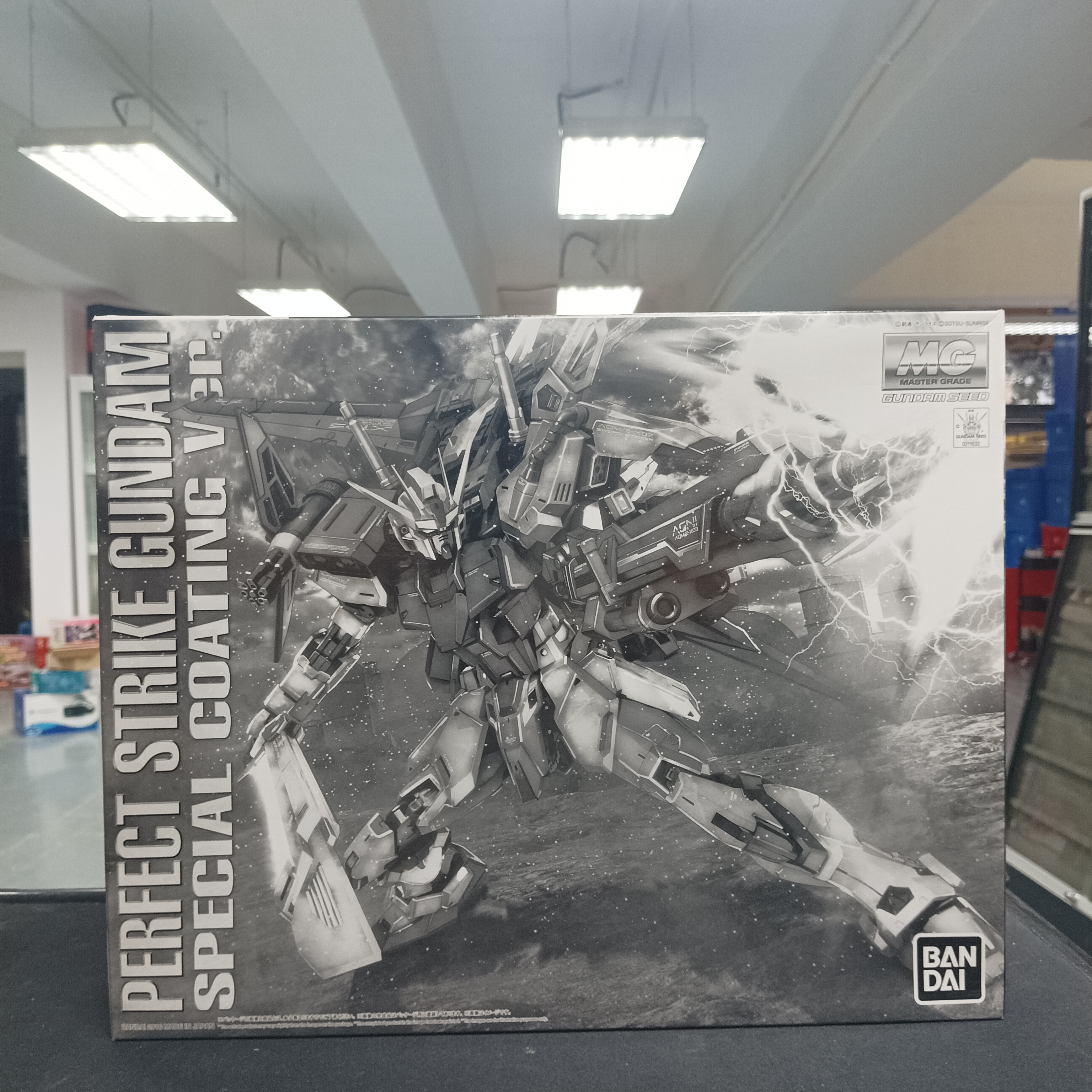 MG 1/100 Perfect Strike special coating