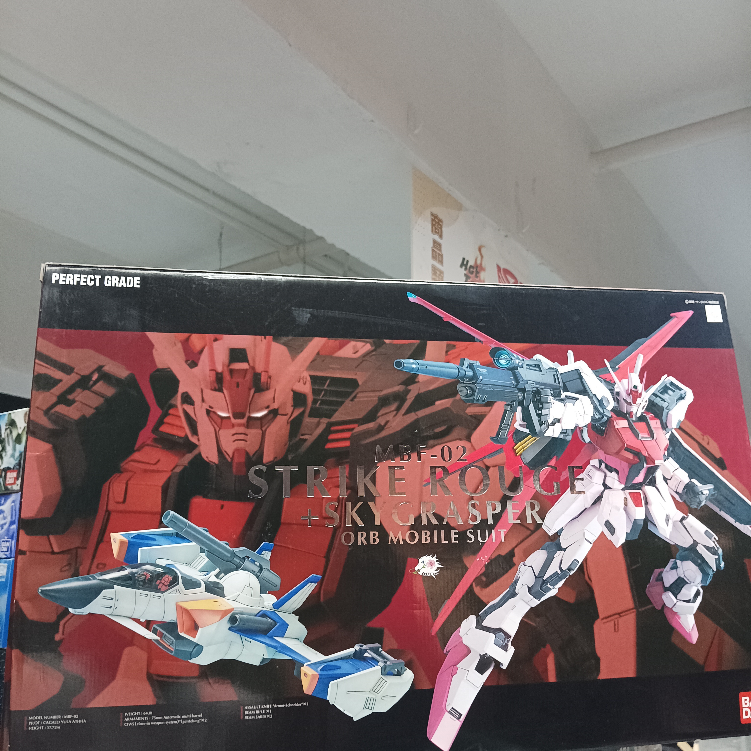 PG  1/60 Strike Rouge Skygrasper