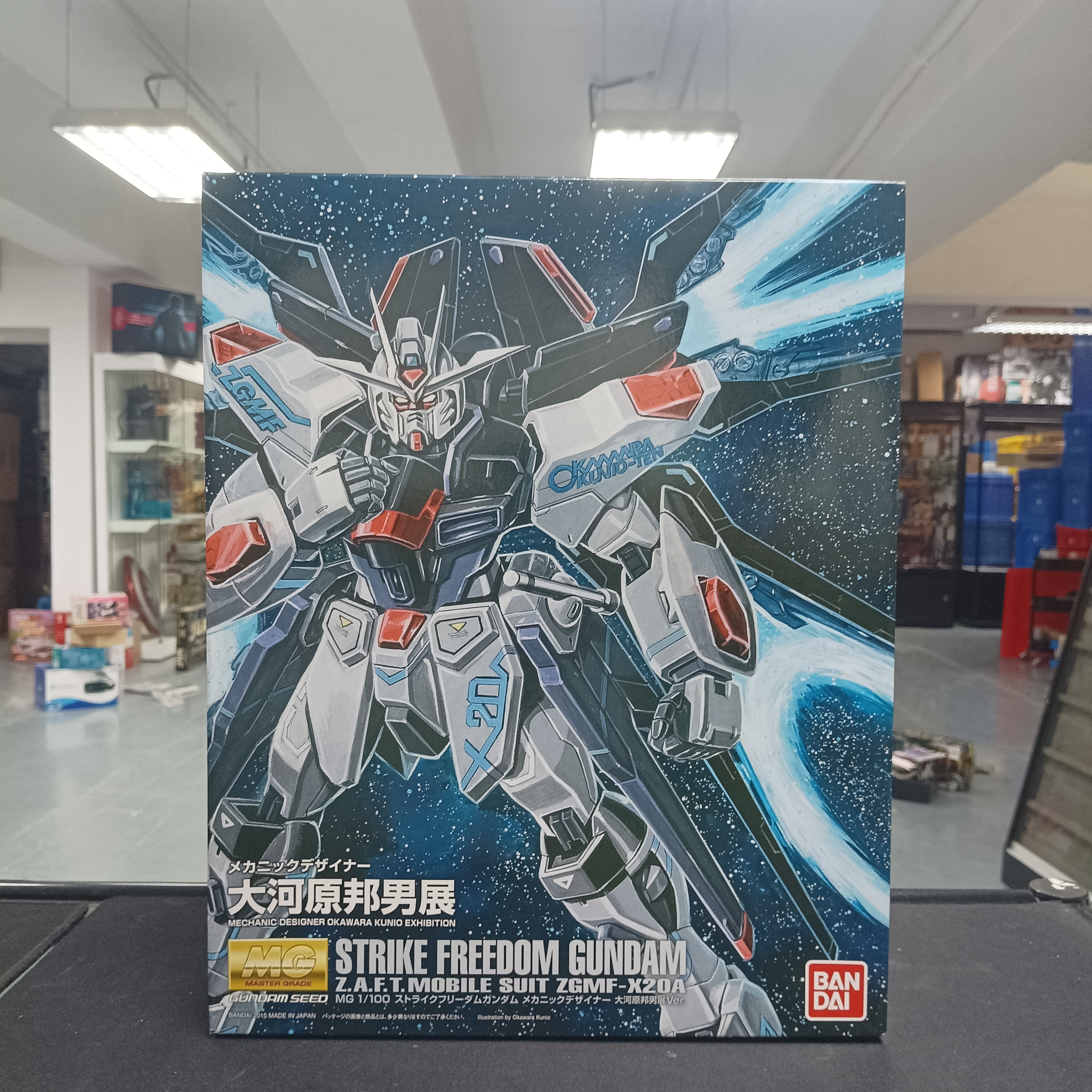 MG 1/100 Strike Freedom Gundam OKAWARA KUNIO