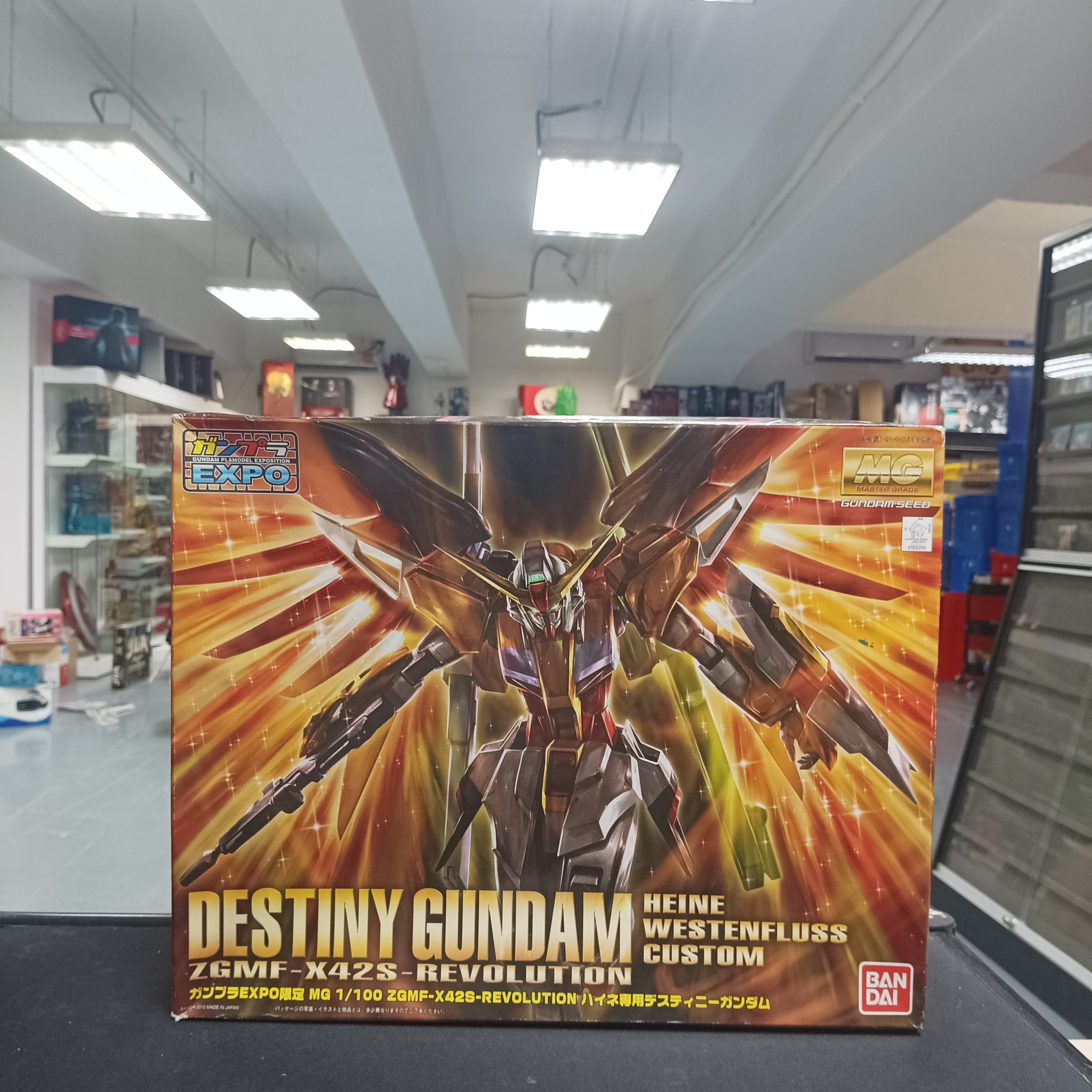 MG 1/100 ZGMF-X42S DESTINY GUNDAM HEINE CUSTOM