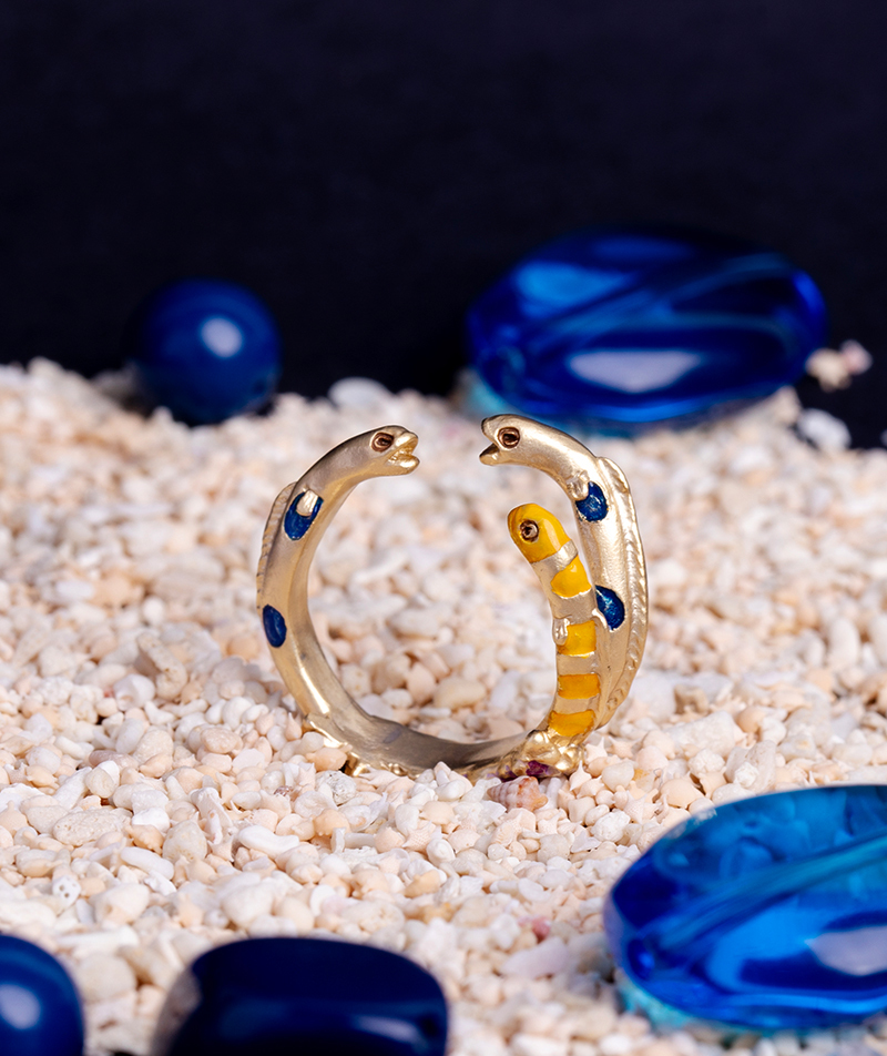 花園鰻爭奪領地戒指