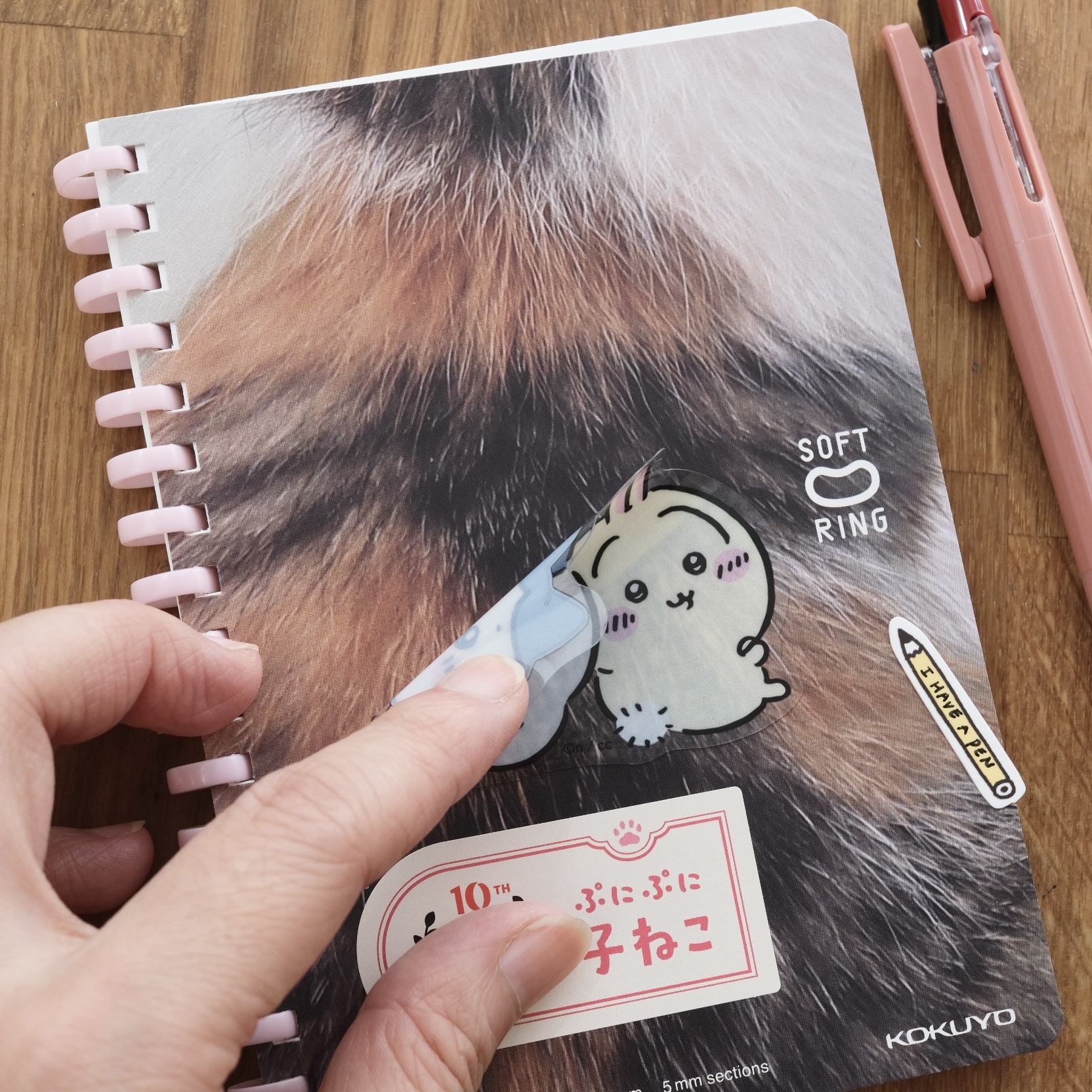 Chiikawa 吉伊卡哇 可重複貼 透明貼紙｜SUN STAR 日本