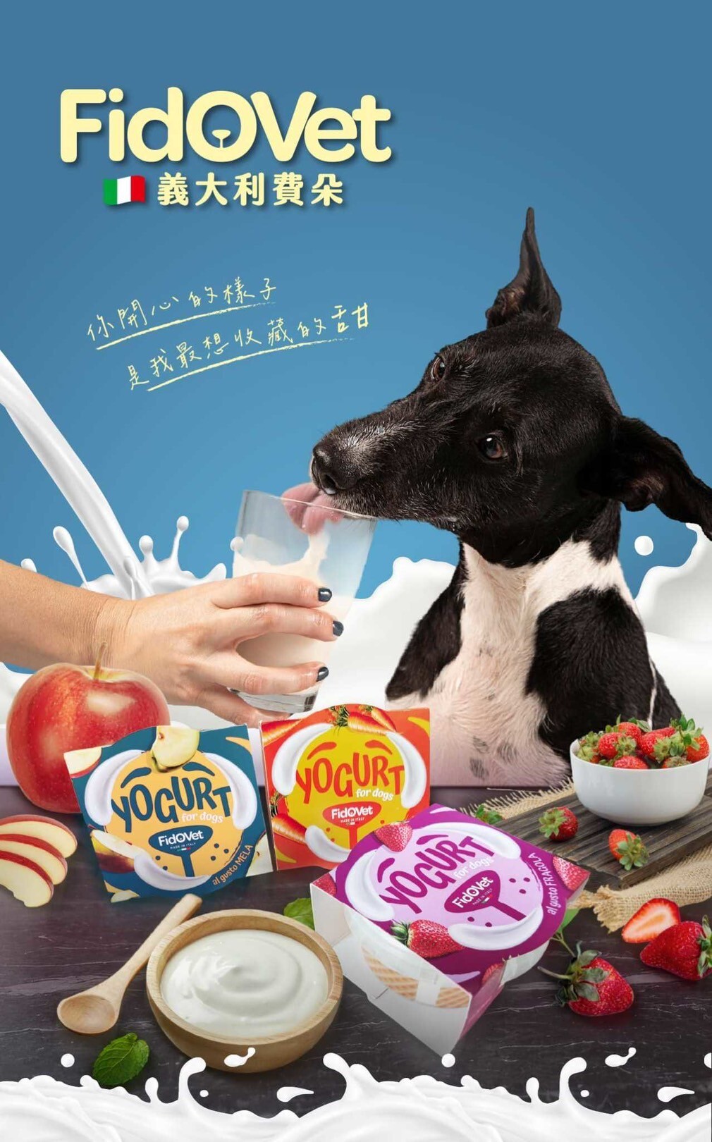 義大利費朵 犬用優格25g 冰淇淋40g 狗點心