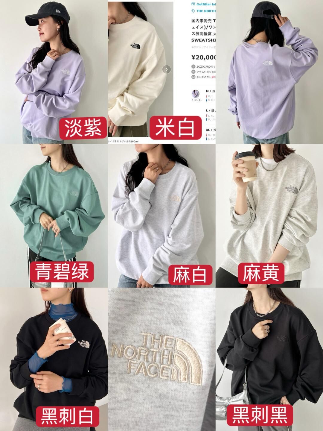 韓國 TNF Bonney Sweat 經典衛衣