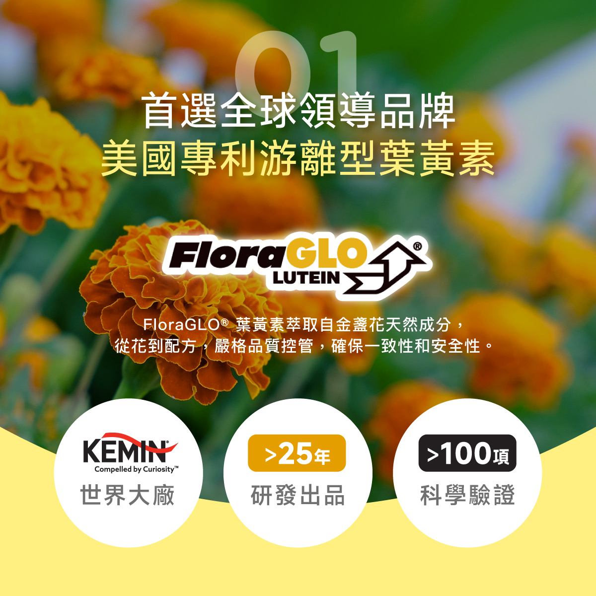KEMIN.全球.美國.美國專利.FloraGLO®.游離型葉黃素.游離型.葉黃素