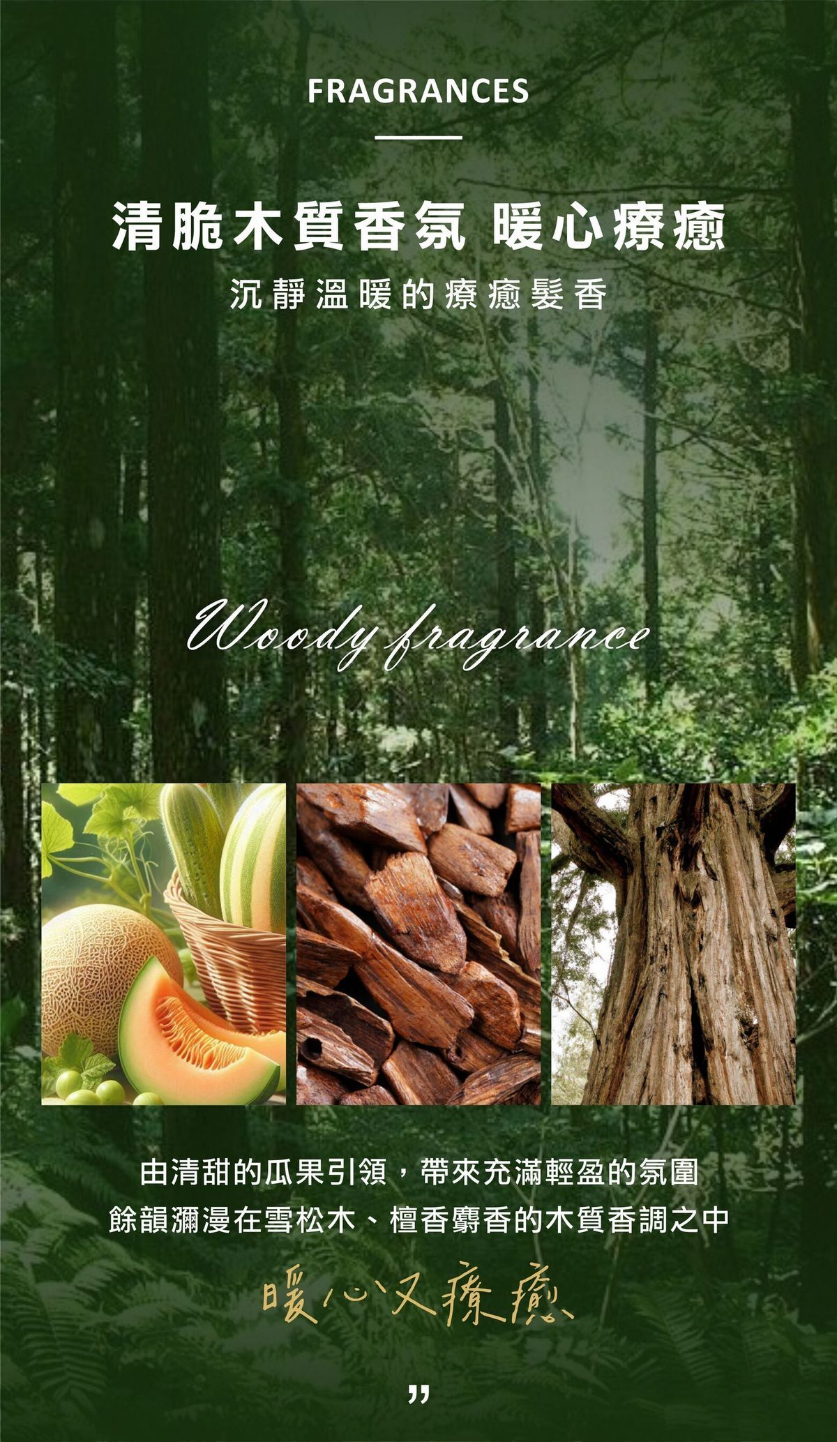 【直播】LL083001 舒妃自然匯 綠咖啡系列