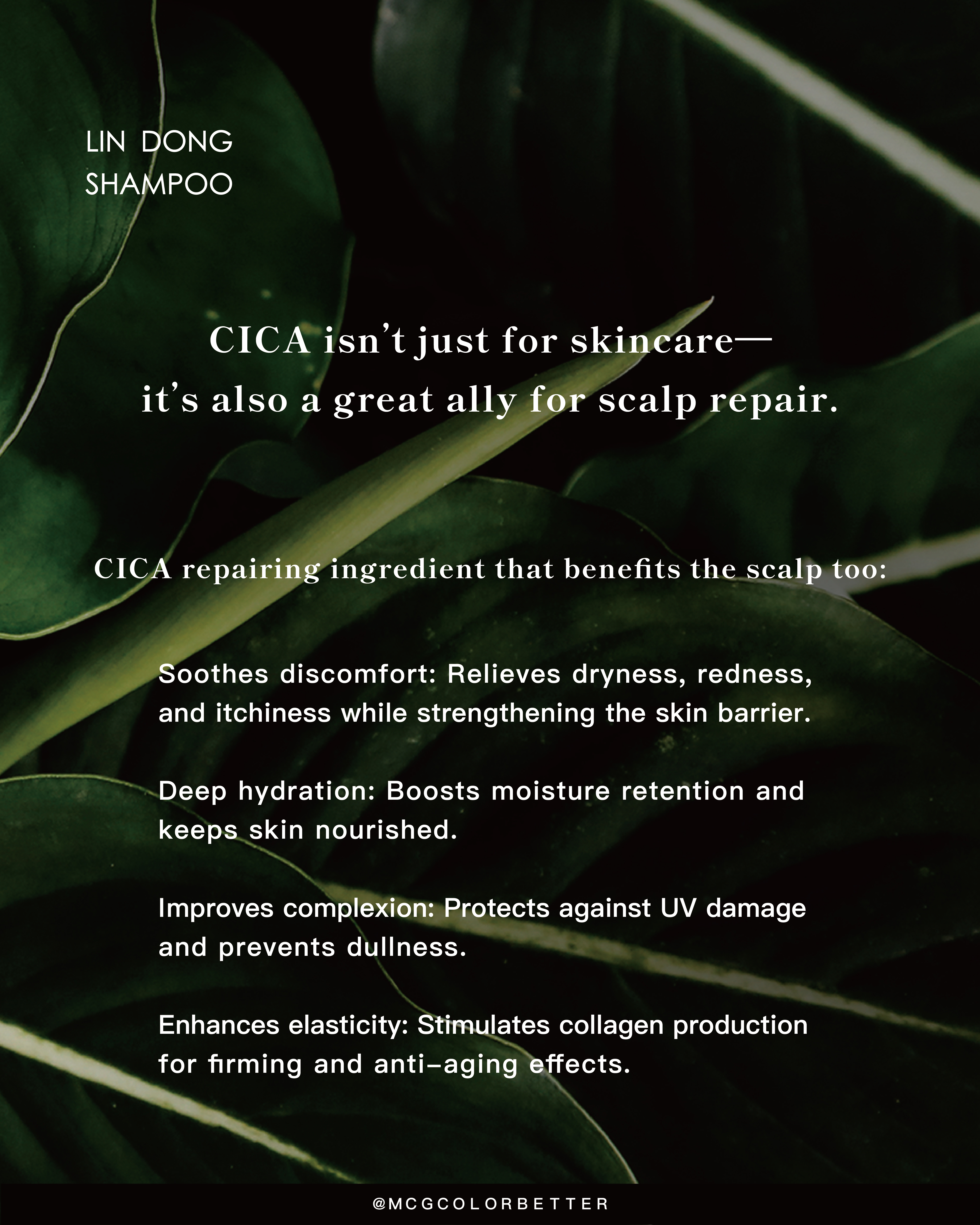 What is Centella Asiatica? A natural repairing ingredient that benefits the scalp too.
