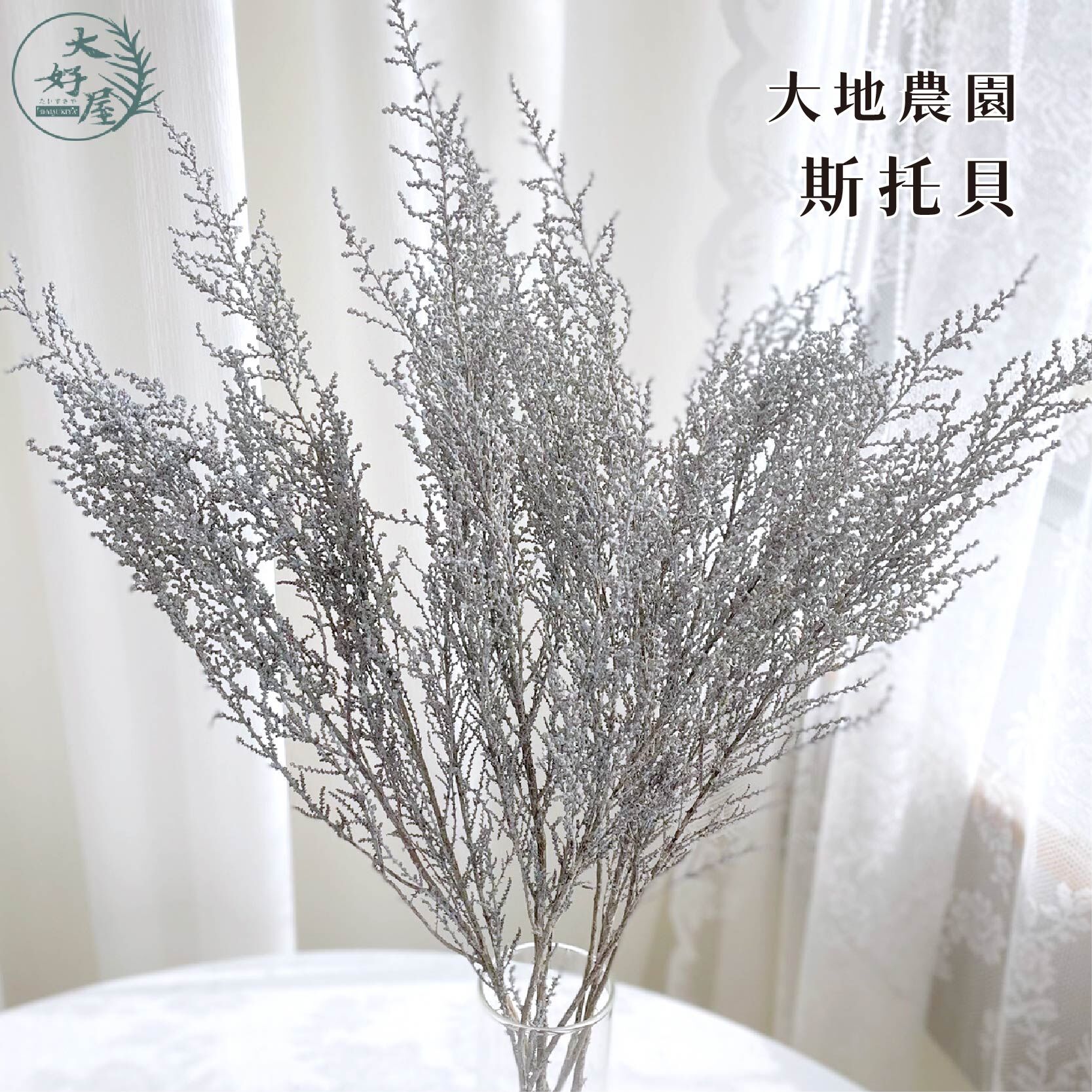 大地農園斯托貝大地農園 【大束裝】