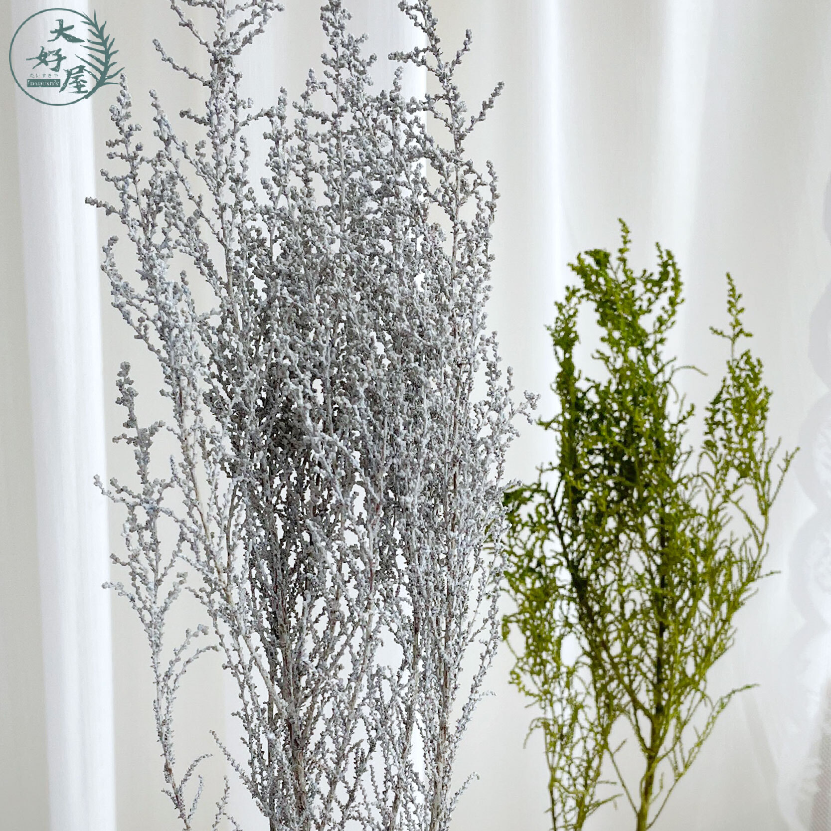 大地農園斯托貝大地農園 【大束裝】