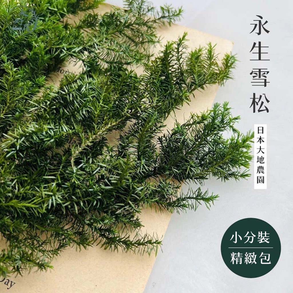 大地農園雪松【小份裝】