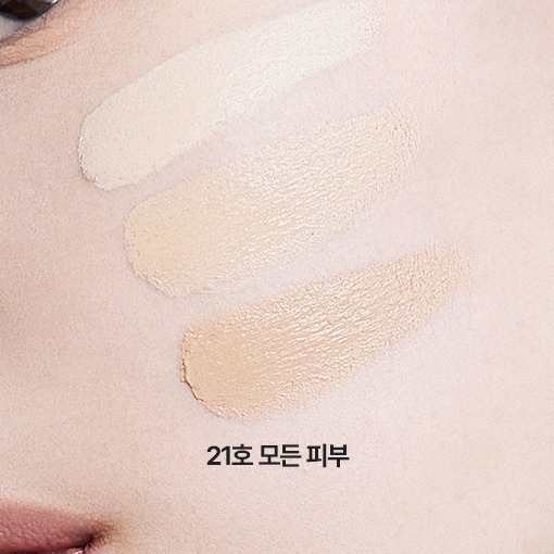 tfit Cover Up Pro Concealer