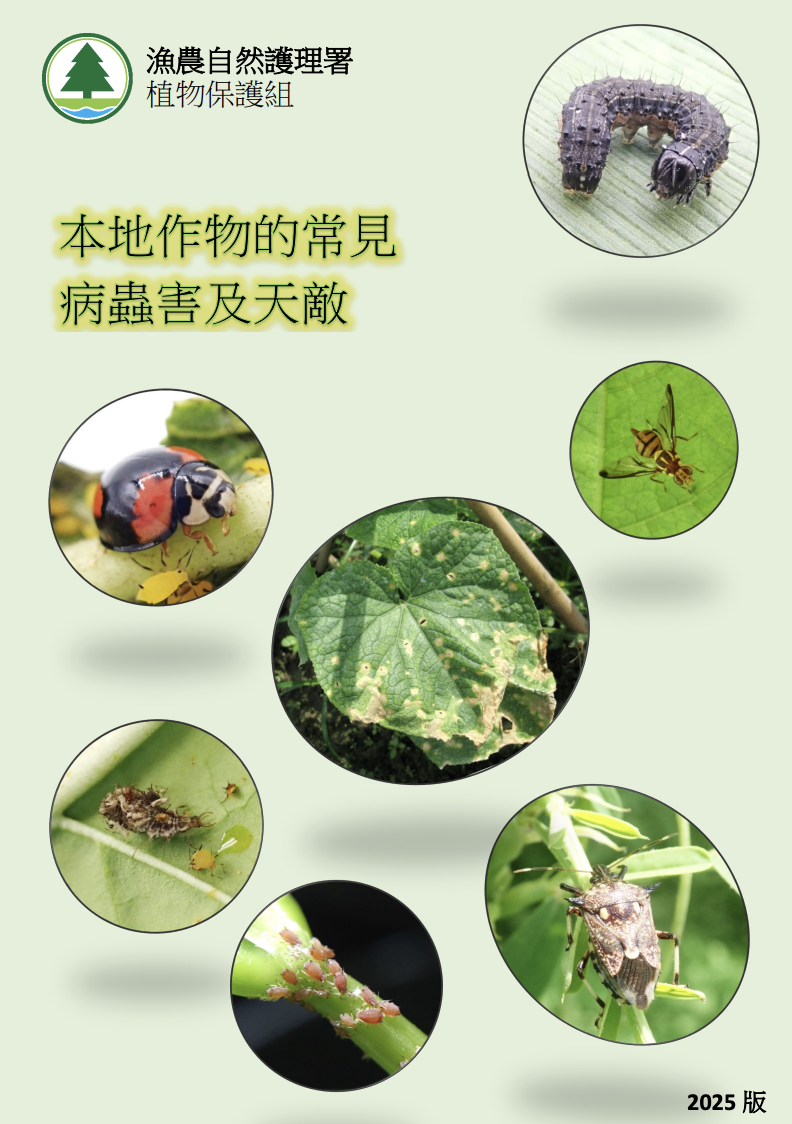 本地作物的常見病蟲害及天敵