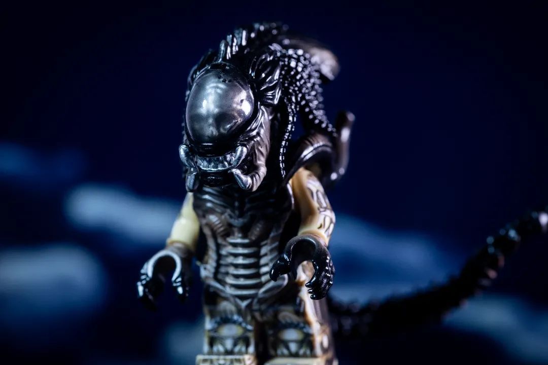 【Liberty】鐵血異形