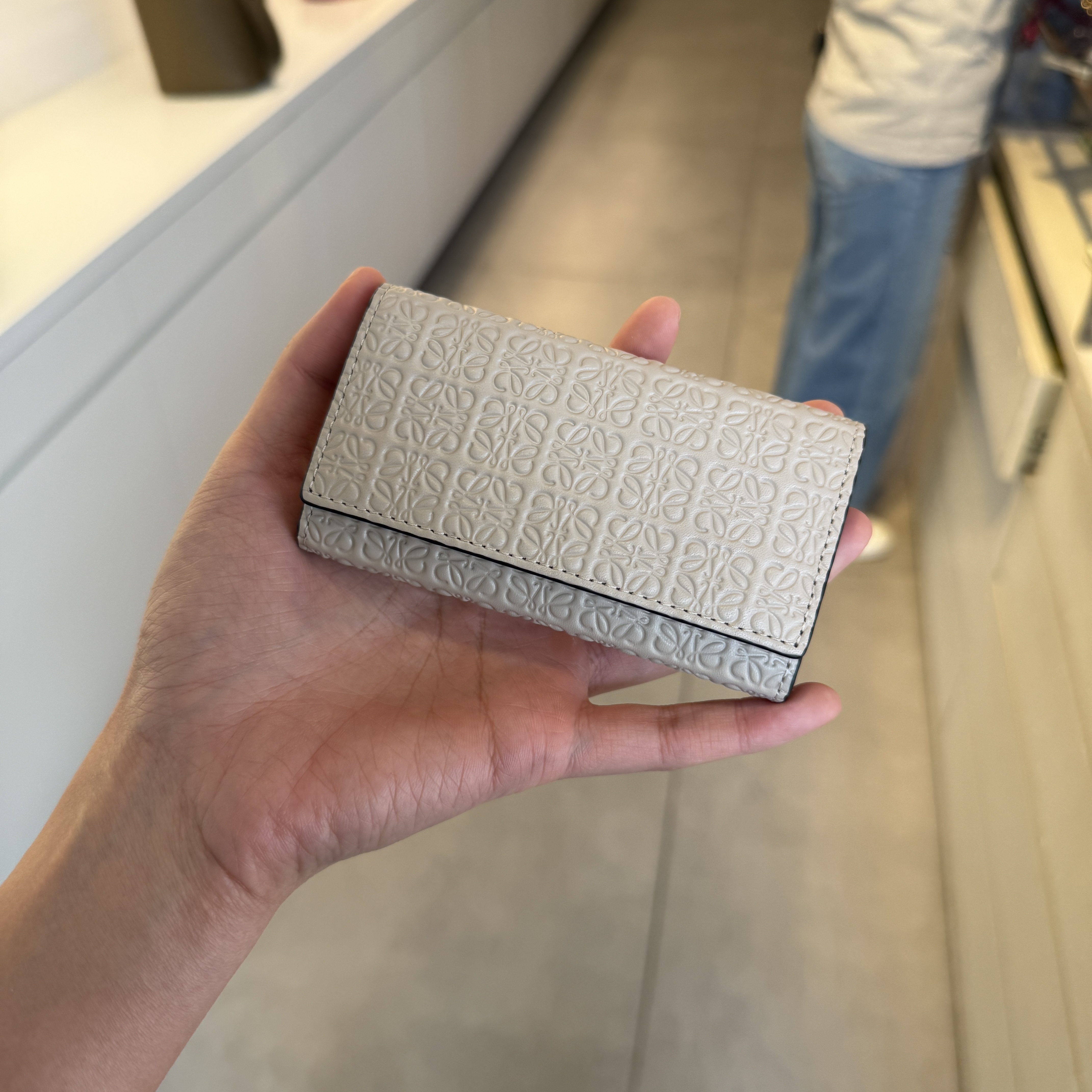 Loewe Monogram Repeat key case Light Oat