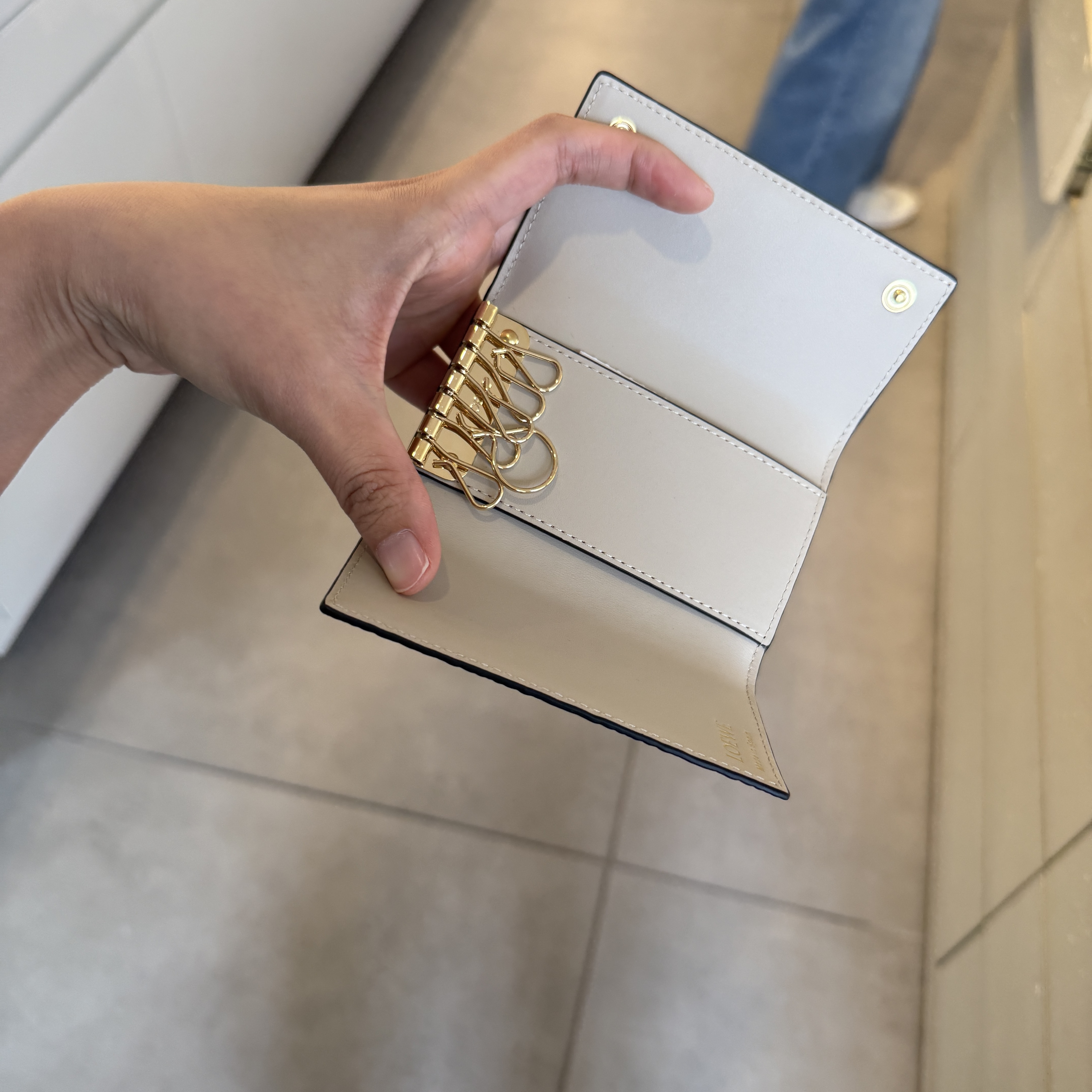 Loewe Monogram Repeat key case Light Oat