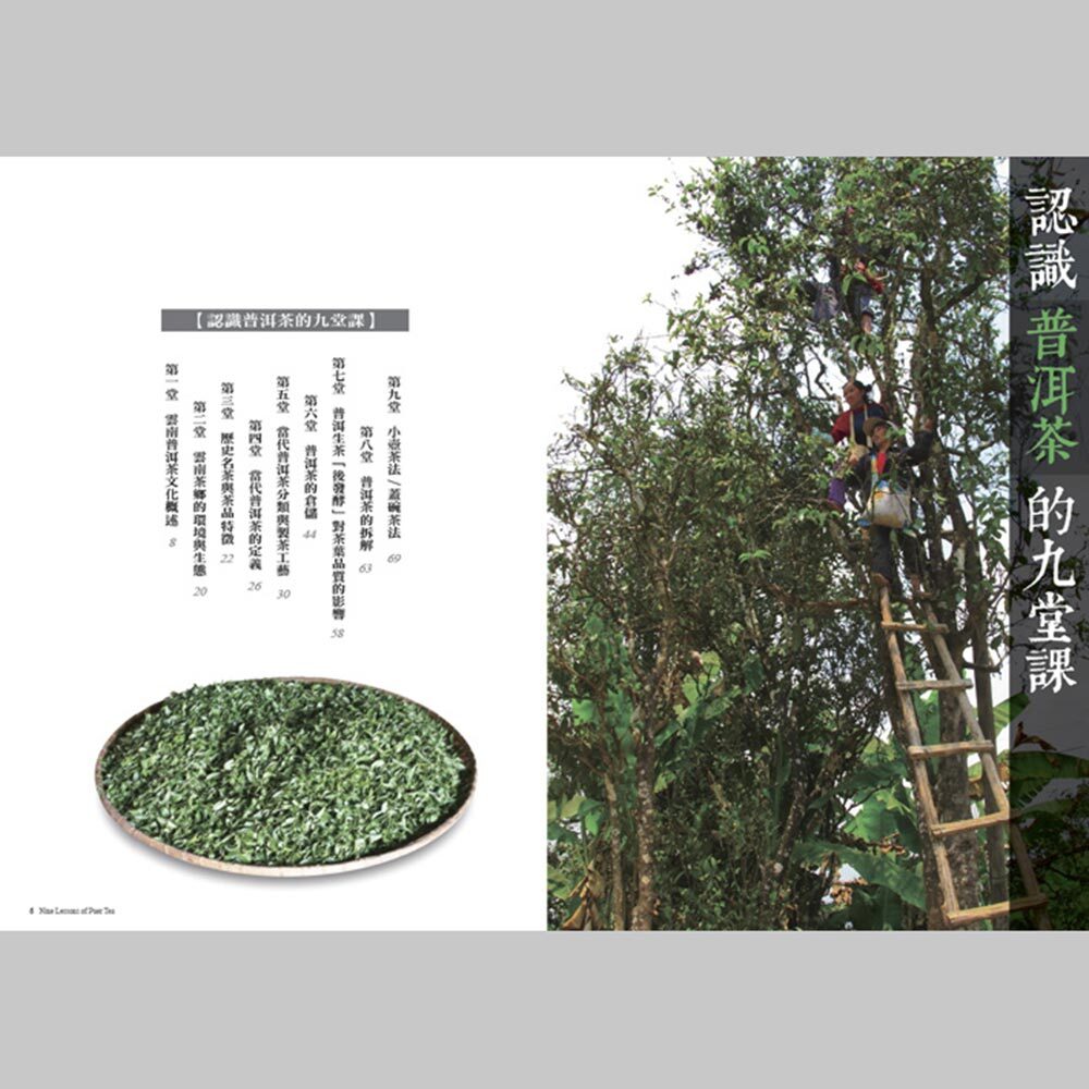 唐人工藝著作：《普洱茶鑑--認識普洱茶的九堂課》