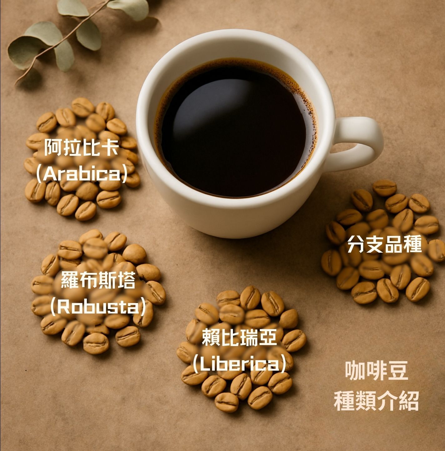 咖啡種類 咖啡種類名稱 咖啡豆種類介紹 咖啡種類介紹 咖啡種類分別 咖啡的種類 咖啡品種 手沖咖啡 歐客佬咖啡 歐客佬