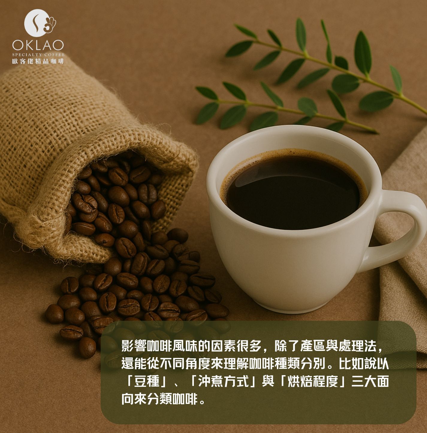 咖啡種類 咖啡種類名稱 咖啡豆種類介紹 咖啡種類介紹 咖啡種類分別 咖啡的種類 咖啡品種 手沖咖啡 歐客佬咖啡 歐客佬