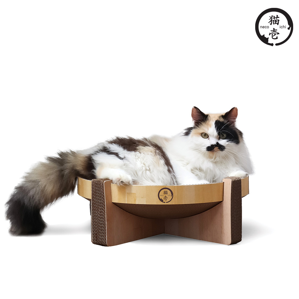 貓壹 抓抓貓圓台