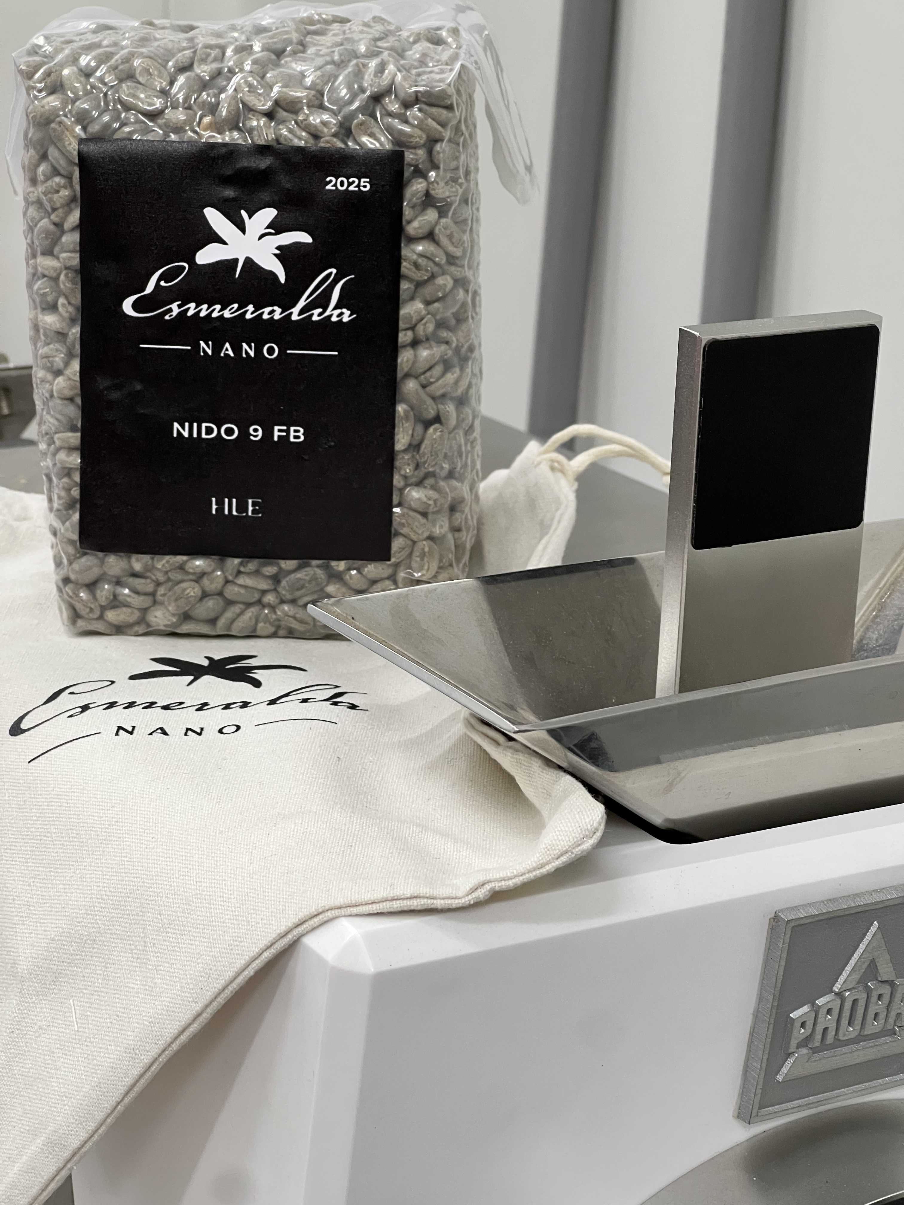 珊瑚翡翠　梅 海洋環境とジュエリーの新しい関係 ―日本が誇る真珠・珊瑚が伝える“海