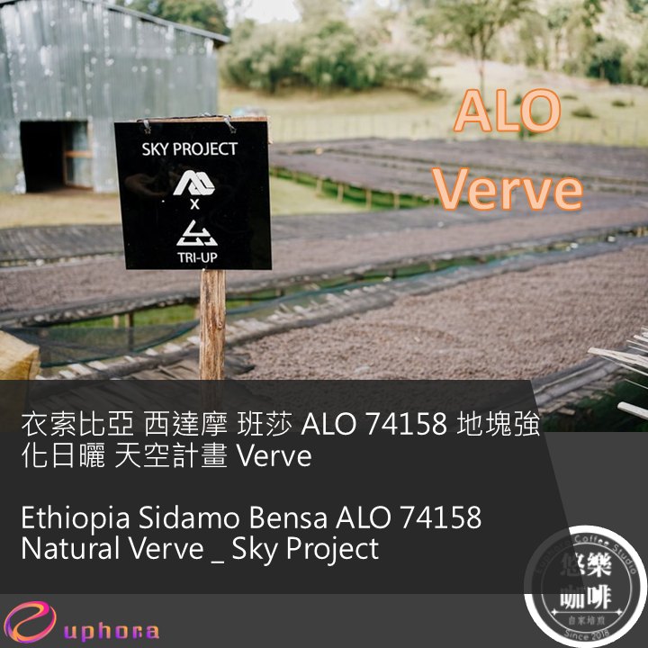 衣索比亞 西達摩 班莎 ALO 74158 地塊強化日曬 天空計畫 Verve