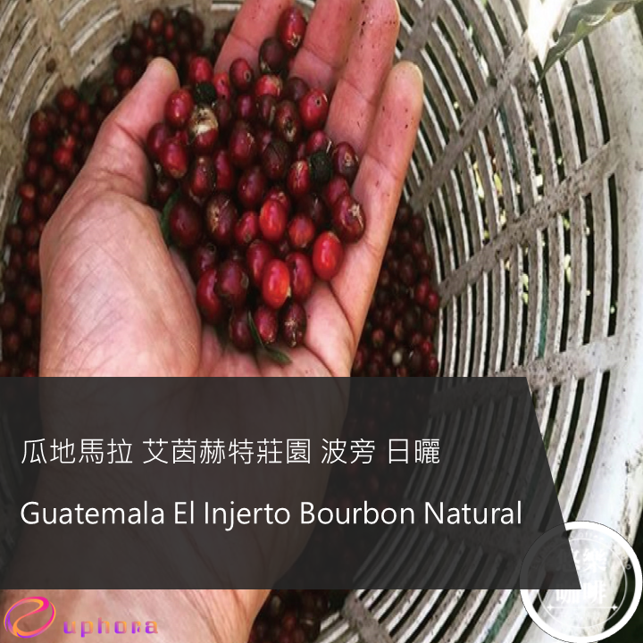 瓜地馬拉 艾茵赫特莊園 波旁 日曬