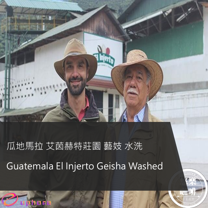 瓜地馬拉 艾茵赫特莊園 藝伎 水洗